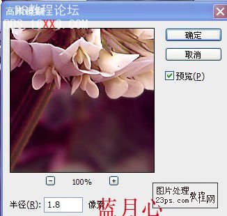 Photoshop把綠色的花朵調成漂亮的紫色調