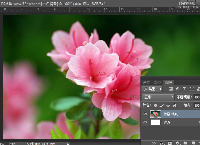 PS cs6调古典韵味花卉教程