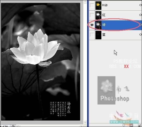 photoshop調(diào)色教程:制作金色蓮花