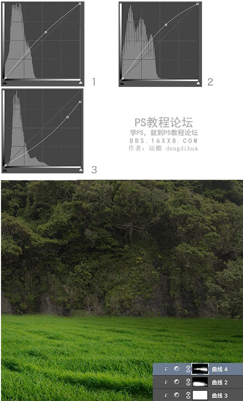 森林场景，合成女人与鹿梦幻森林场景教程