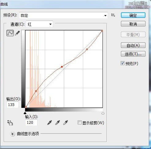 PS鼠绘夜色中的梦幻森林