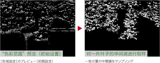 春天变秋天，把绿叶调成丰收的金黄