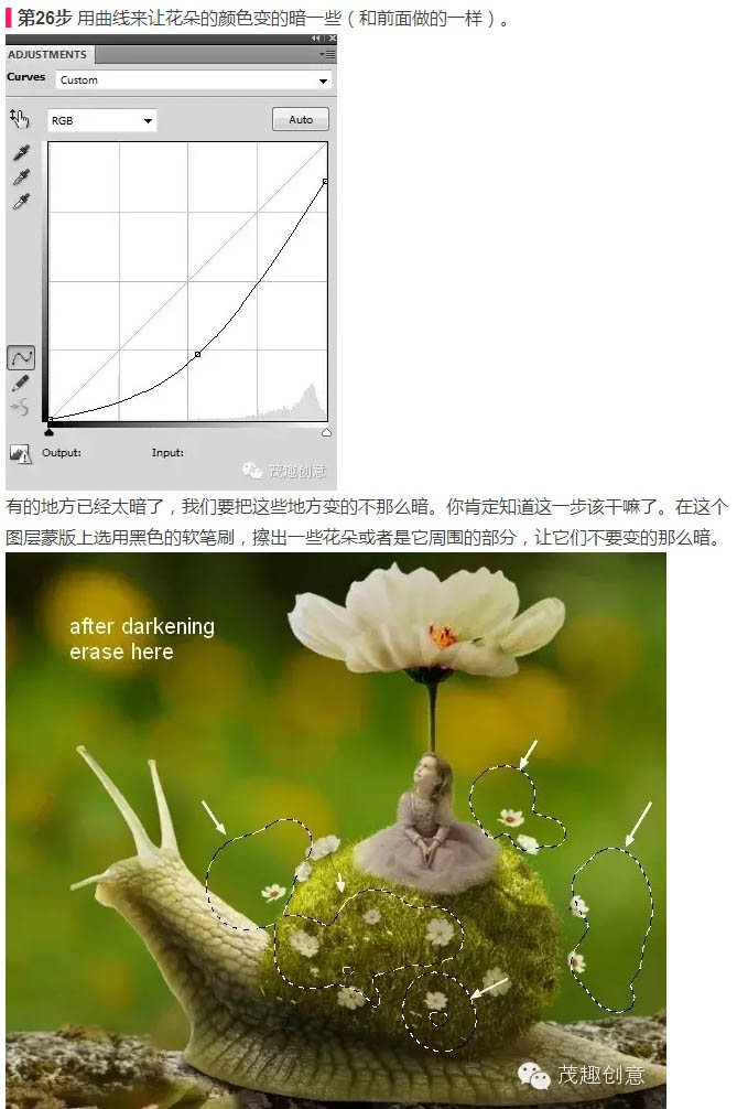 動物惡搞，合成背上長草的蝸牛圖片