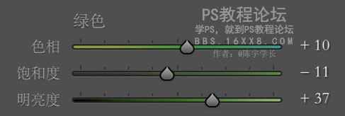 LR调色教程，清新绿白色调的后期教程