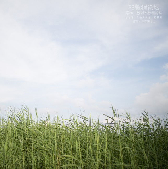 物品调色，教你调夏日清新色调教程