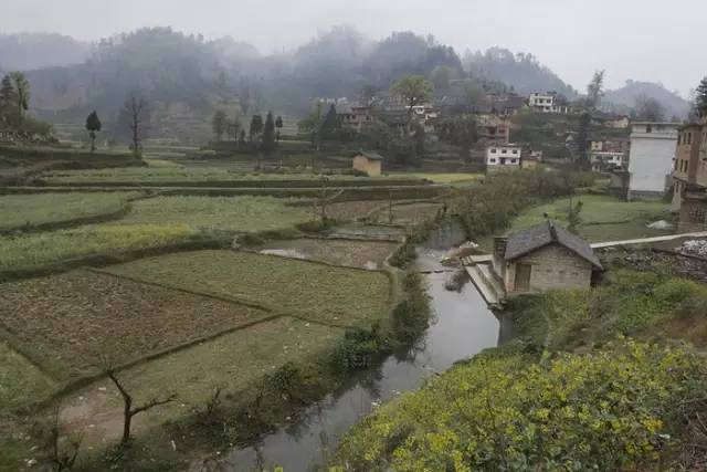 油画效果，把田园风景的数码照片转成唯美的油画效果照片