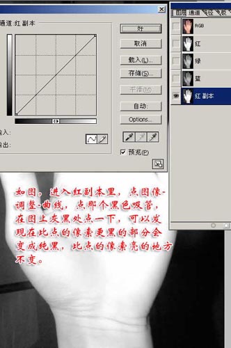 ps实例讲解通道抠图法