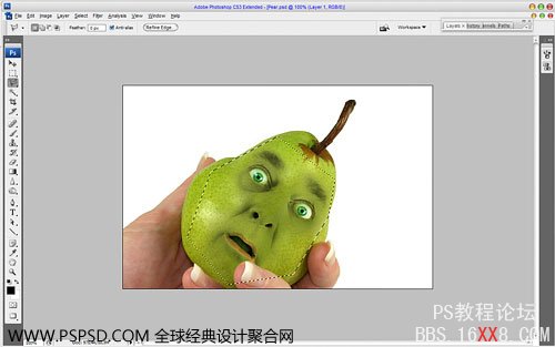Photoshop合成教程：人面鸭梨创建技巧