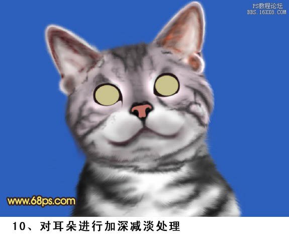 PS鼠绘神态可爱的小灰猫