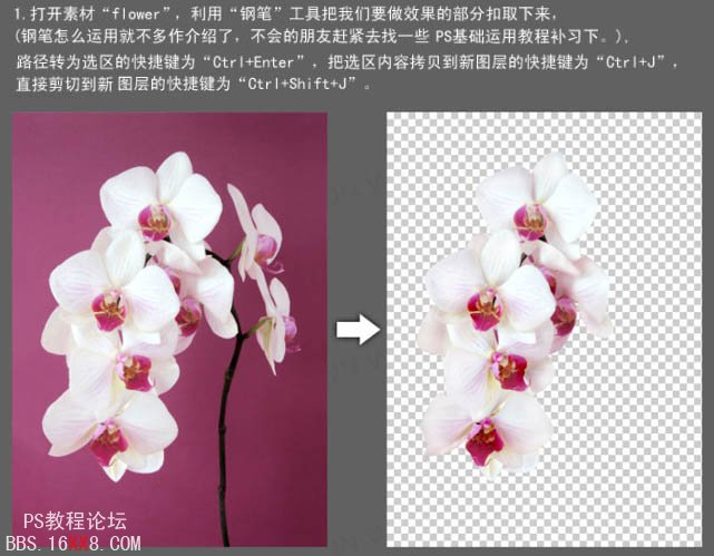 PS教程:合成动感的牛奶花朵