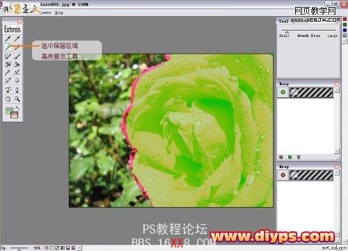 使用PS滤镜插件Mask pro轻松抠出花卉