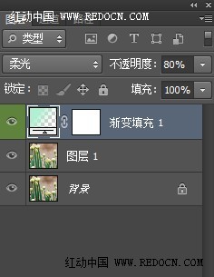 ps cs6調粉絲色效果照片