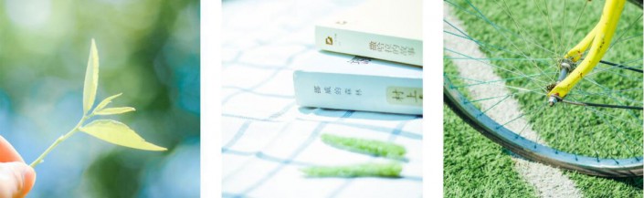 LR調色教程，通過LR給夏日靜物調出一種小清新色調