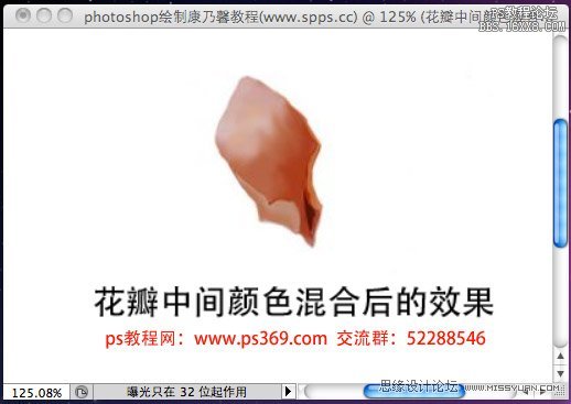 Photoshop绘制母亲节康乃馨教程,PS教程,思缘教程网