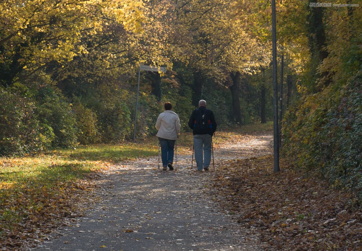 PS調(diào)出公園里散步老年情侶溫馨意境教程