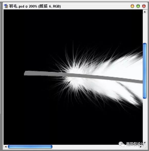 摳羽毛，PS繪制逼真的潔白羽毛