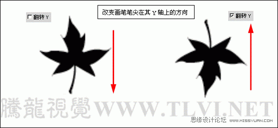 实例讲解画笔笔尖形状