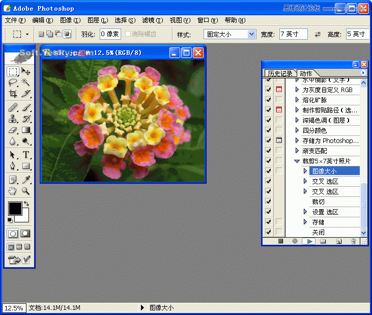 ps巧用動作按比例自動批量裁剪照片