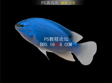 PS素材合成将文字线稿做成3D涂鸦字体教程