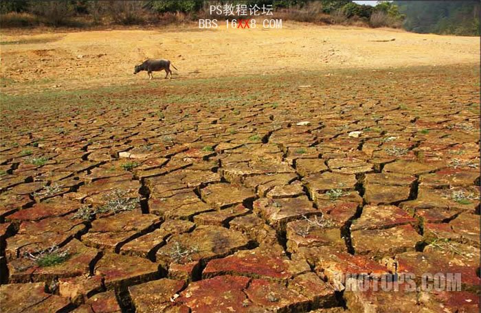 PS合成一幅绿意盎然的江南烟雨诗意图