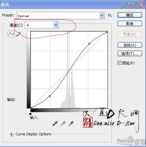 ps照片轉手繪詳細教程