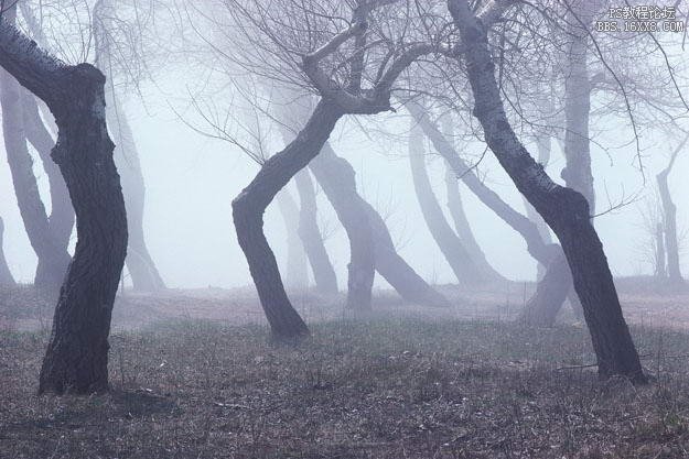 PS合成陰森恐怖的叢林場(chǎng)景