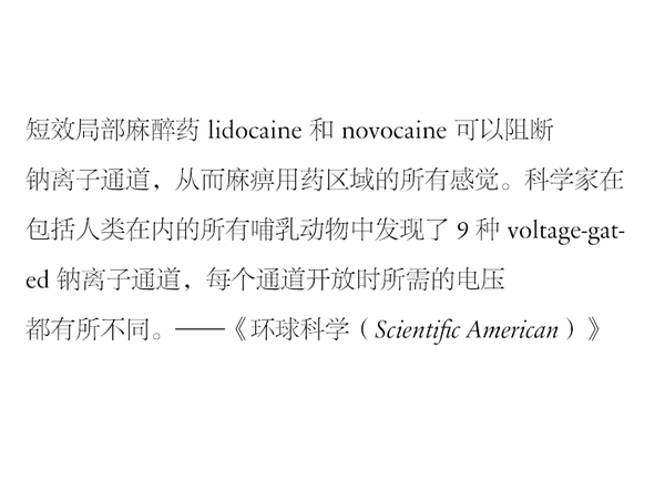 字体知识，哪种字体最适合快速阅读？