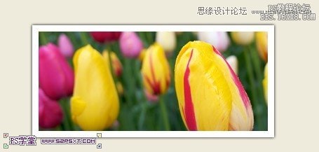 ps一個(gè)木紋風(fēng)格網(wǎng)頁模板