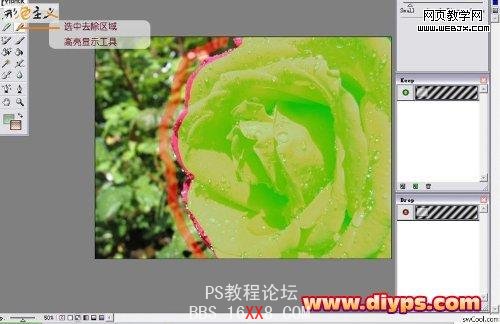 使用PS滤镜插件Mask pro轻松抠出花卉