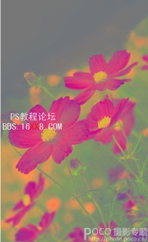 PhotoShop利用LAB通道調(diào)制油畫風(fēng)格的照片