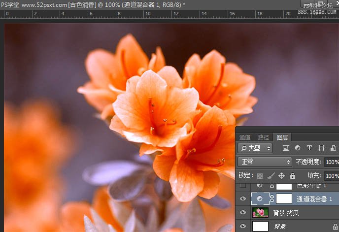 PS cs6调古典韵味花卉教程