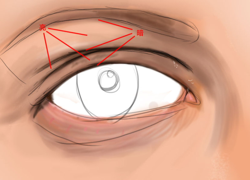 鼠绘眼睛，教大家绘制逼真的眼睛教程