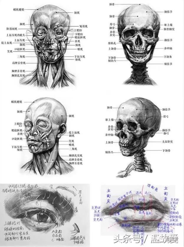 后期知识，修图不用刻意学习结构、素描