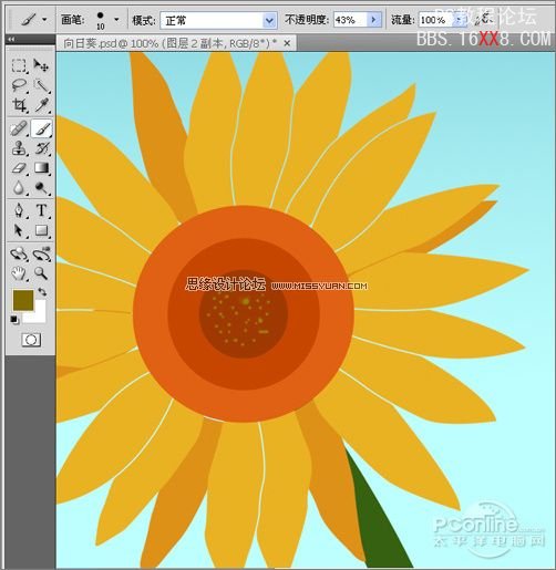 Photoshop教程:绘制矢量效果的向日葵