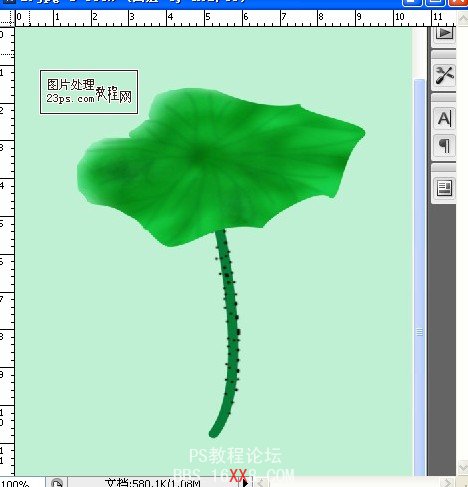 PS鼠绘教程:绘制荷塘荷花