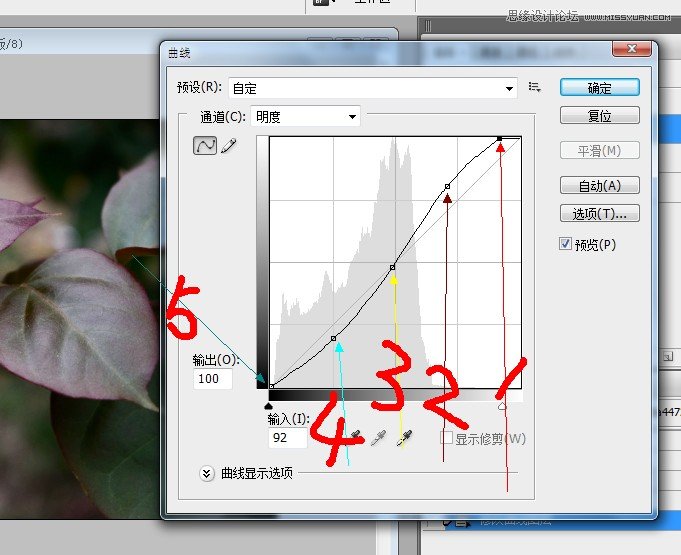 ps调出灰蒙蒙风景照片通透艳丽效果