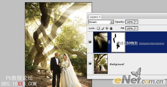 Photoshop为婚片添加穿透树林的光线效果
