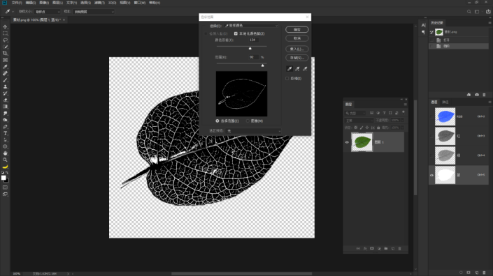 树叶剪影，通过PS提取树叶的脉络