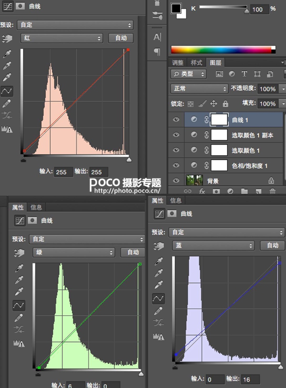 橙黃色調，調橙黃色調森林寫真照片實例