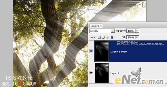 Photoshop为婚片添加穿透树林的光线效果