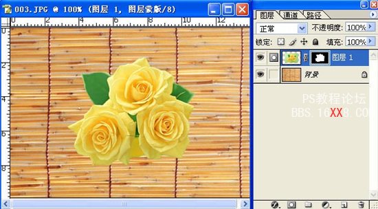 PS入门教程:解析Photoshop蒙板