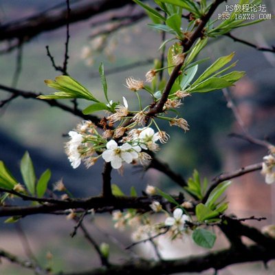 5-11 關(guān)于圖層面積與可視區(qū)域