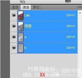 PhotoShop利用LAB通道调制油画风格的照片