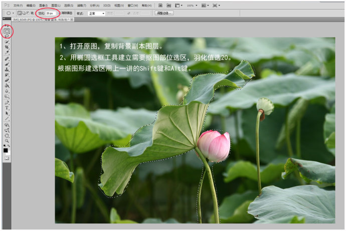 虛化背景，Photoshop做出大光圈虛化效果