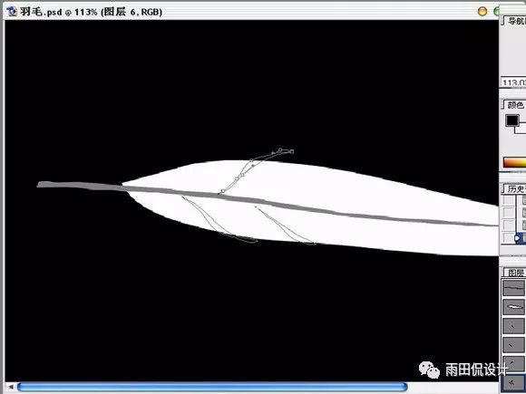 抠羽毛，PS绘制逼真的洁白羽毛