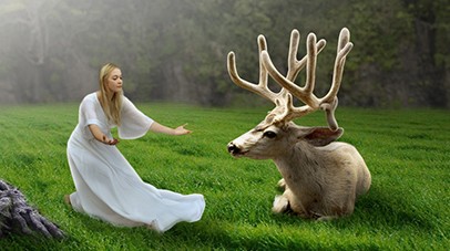 森林场景，合成女人与鹿梦幻森林场景教程