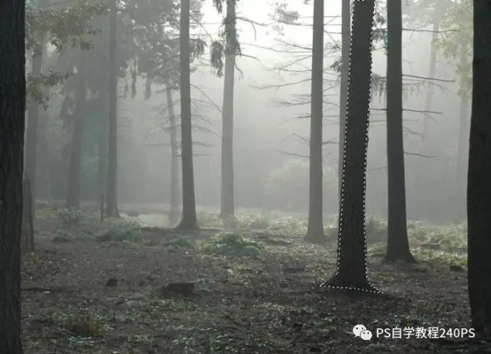 奇幻合成，合成鹿角中的神秘水世界