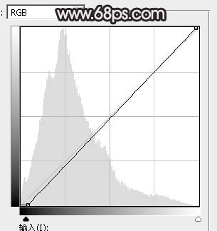 褐色調(diào)，調(diào)古典暗調(diào)褐色人像照片