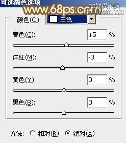 ps韩系暖褐色