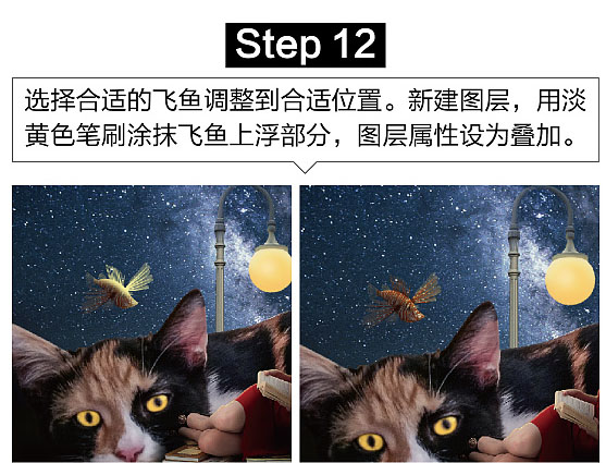 照片合成，PS合成星空下女孩和猫咪依偎阅读的梦幻场景